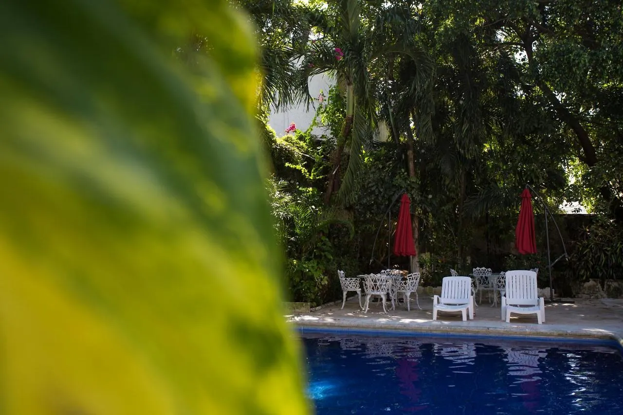 Hotel Xbalamqué&Spa Cancún Centro 3*,