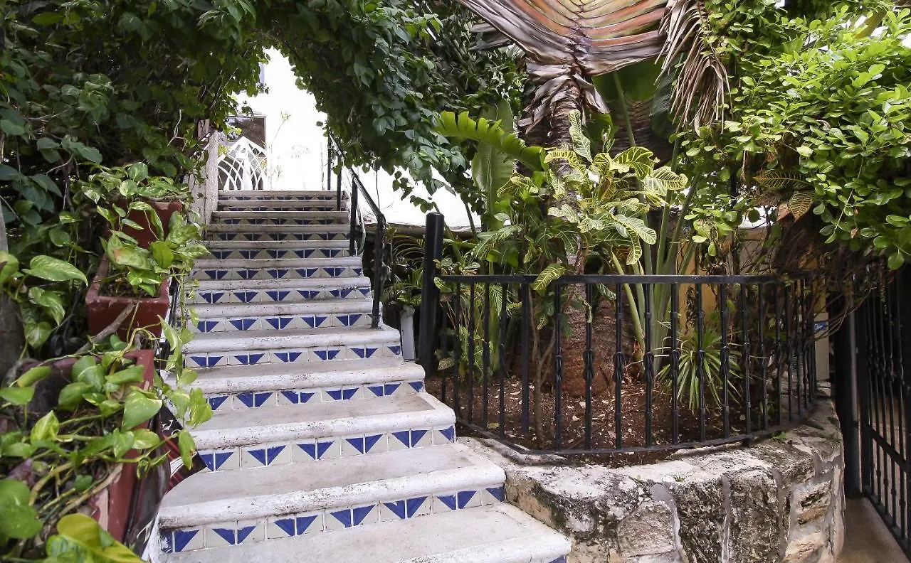 Hotel Xbalamqué&Spa Cancún Centro